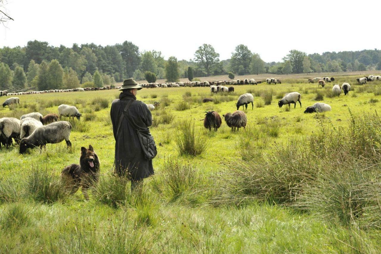 Ferienhof Cohrs ビスピンゲン エクステリア 写真